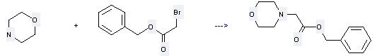 Benzyl 2-bromoacetate can be used to produce morpholin-4-yl-acetic acid benzyl ester at the ambient temperature